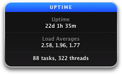 Second Leopard Uptime Record